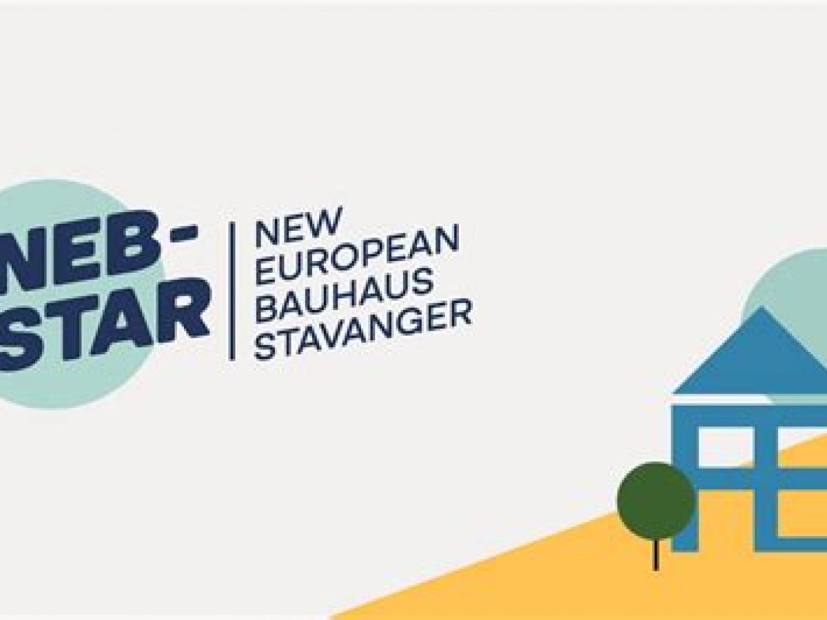 NEB Star logo